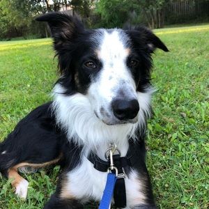 Meet your Posher, Olivera